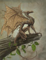 draco ramulus