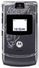 motorola dragon tatt design